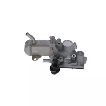 Module-EGR NRF 48207