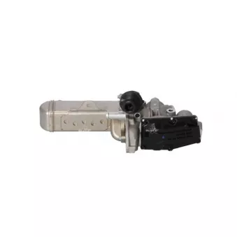 Module-EGR NRF 48208
