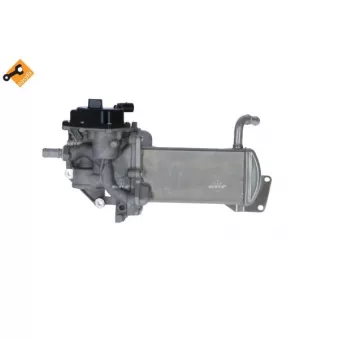 Module-EGR NRF