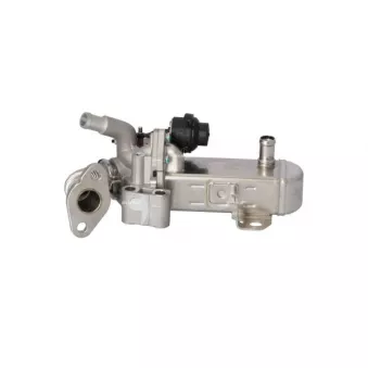 Module-EGR NRF