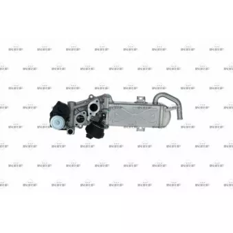 Module-EGR NRF 48213