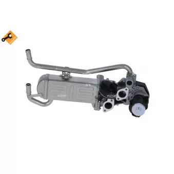 Module-EGR NRF