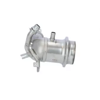 Module-EGR NRF 48220