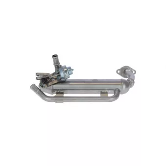 Module-EGR NRF 48306