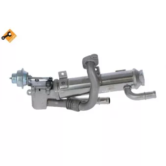 Module-EGR NRF 48311
