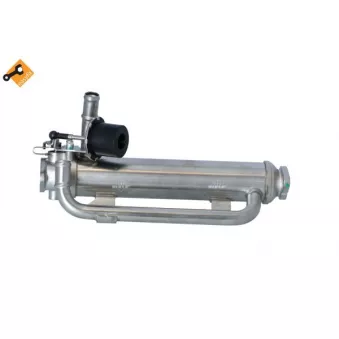 Module-EGR NRF 48312