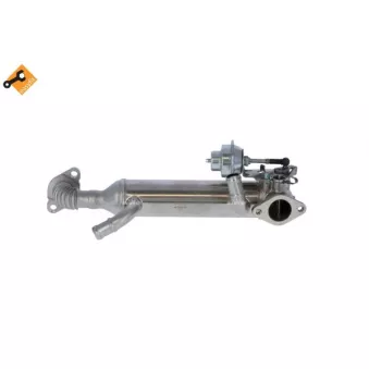 Module-EGR NRF 48313