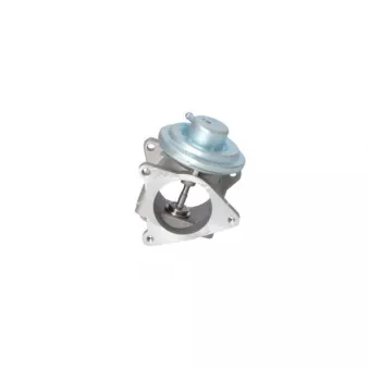 Vanne EGR NRF 48321