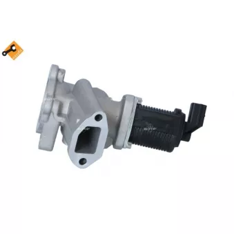 Vanne EGR NRF 48325