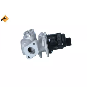 Vanne EGR NRF 48328