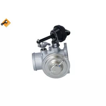 Vanne EGR NRF 48333