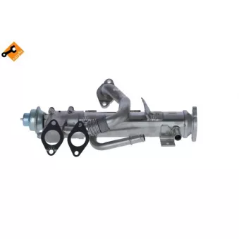 Module EGR NRF 48358
