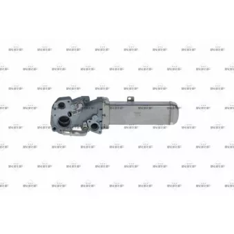 Module EGR NRF 48359