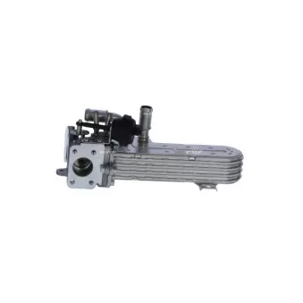 Module-EGR NRF 48360