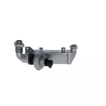 Module-EGR NRF 48365