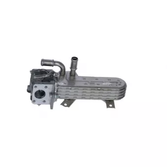 Module-EGR NRF 48367