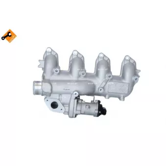Module-EGR NRF