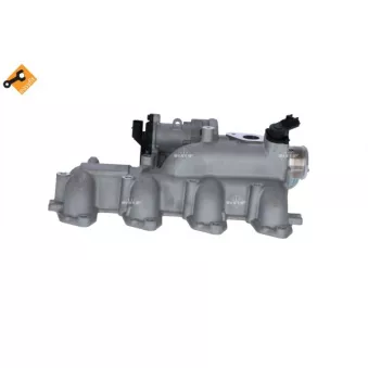 Module-EGR NRF 48373
