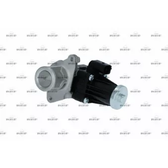 Vanne EGR NRF 48374
