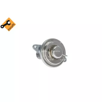 Vanne EGR NRF 48383