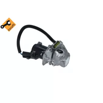 Vanne EGR NRF 48385