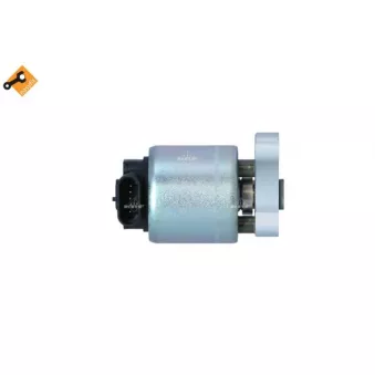 Vanne EGR NRF 48394