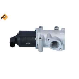 Vanne EGR NRF 48396