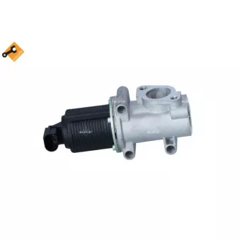 Vanne EGR NRF 48400