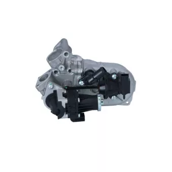 Module-EGR NRF 48450