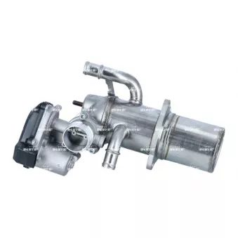 Module-EGR NRF 48453