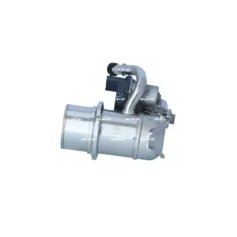 Module-EGR NRF 48454