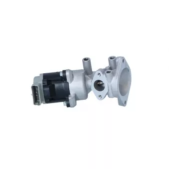 Vanne EGR NRF 48602