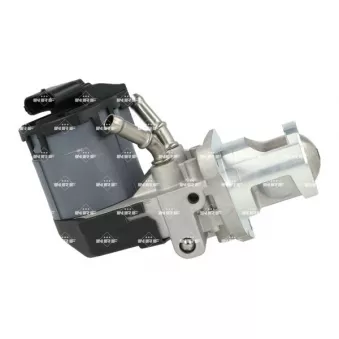 Vanne EGR NRF 48604