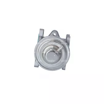 Vanne EGR NRF 48611