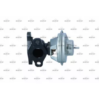 Vanne EGR NRF 48614