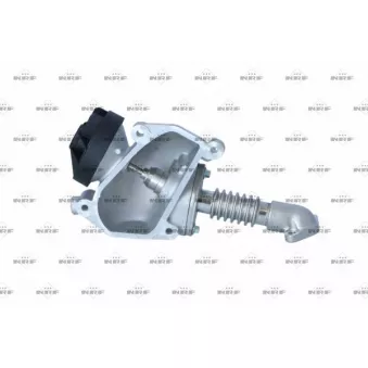 Vanne EGR NRF 48635
