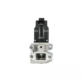 Vanne EGR NRF 48653