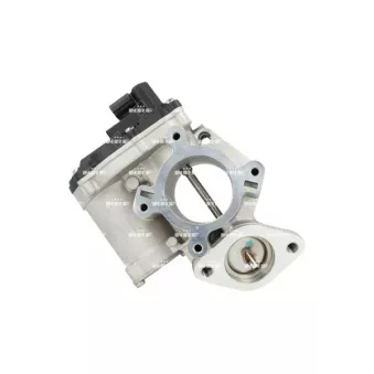 Vanne EGR NRF 48663