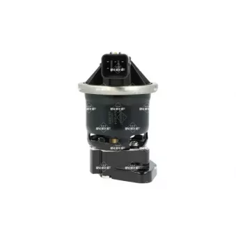 Vanne EGR NRF 48669