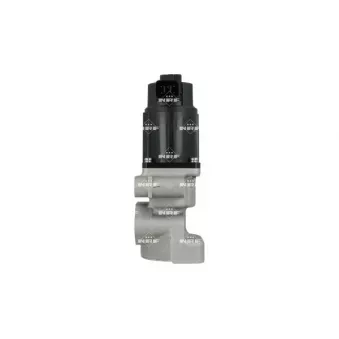 Vanne EGR NRF 48675