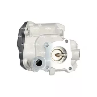Vanne EGR NRF 48701