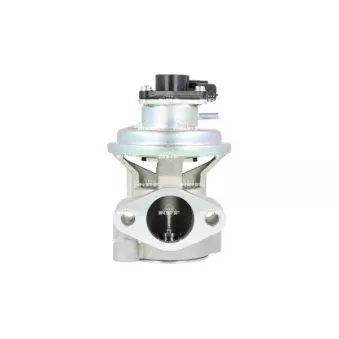 Vanne EGR NRF 48711