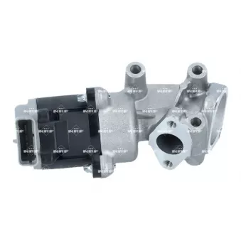 Vanne EGR NRF 48714