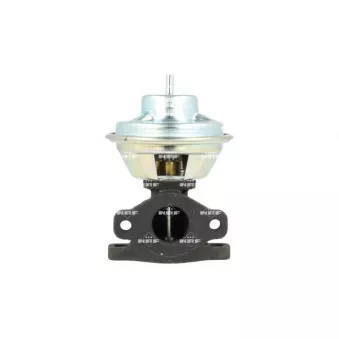 Vanne EGR NRF 48729