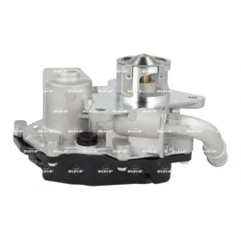 Vanne EGR NRF 48743