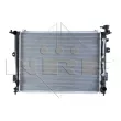 Radiateur, refroidissement du moteur NRF 50135 - Visuel 1