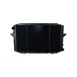 Radiateur, refroidissement du moteur NRF 50410 - Visuel 1