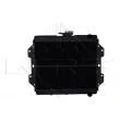 Radiateur, refroidissement du moteur NRF 504343 - Visuel 1