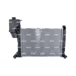 Radiateur, refroidissement du moteur NRF 50559 - Visuel 1