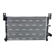 Radiateur, refroidissement du moteur NRF 506224 - Visuel 1